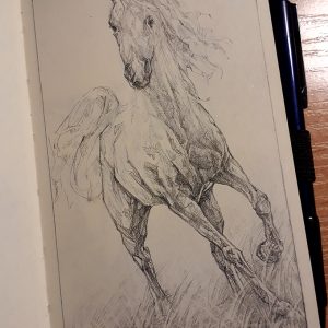 Horse quick sketch drawing