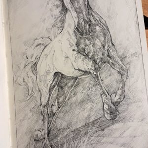 Jumping Horse – Sketchbook drawing